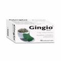 Gingio 40mg 90 potahovaných tablet