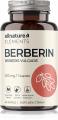 Allnature Berberin Extrakt 98% 500 mg 60 cps.