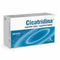 CICATRIDINA poevn pky 10x2g