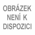 Sunlife Horský borovicový gel 100 ml