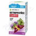 NatureVia Ostropest�ec LipoAktiv cps.60