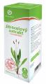 Sirup jitrocelov Galmed s vitamnem C 325g