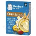 Gerber Ml.kaše pšen.-oves.mango banán 200g 8M+