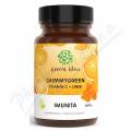 Green idea Gummygreen vitam�n C+zinek Imunita 60ks