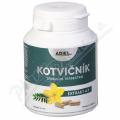 Adiel Kotvink zemn Tribulus terrestris cps.90