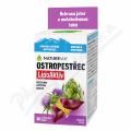 NatureVia Ostropestec LipoAktiv 30 tablet