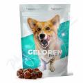 Geloren Dog S-M kloubní výživa 60 žvýkacích želé