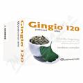 Gingio 120mg 60 potahovaných tablet