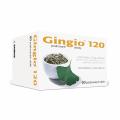 Gingio 120mg 60 potahovanch tablet